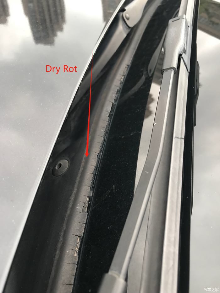 Rubber dry rot, okin rubber guide