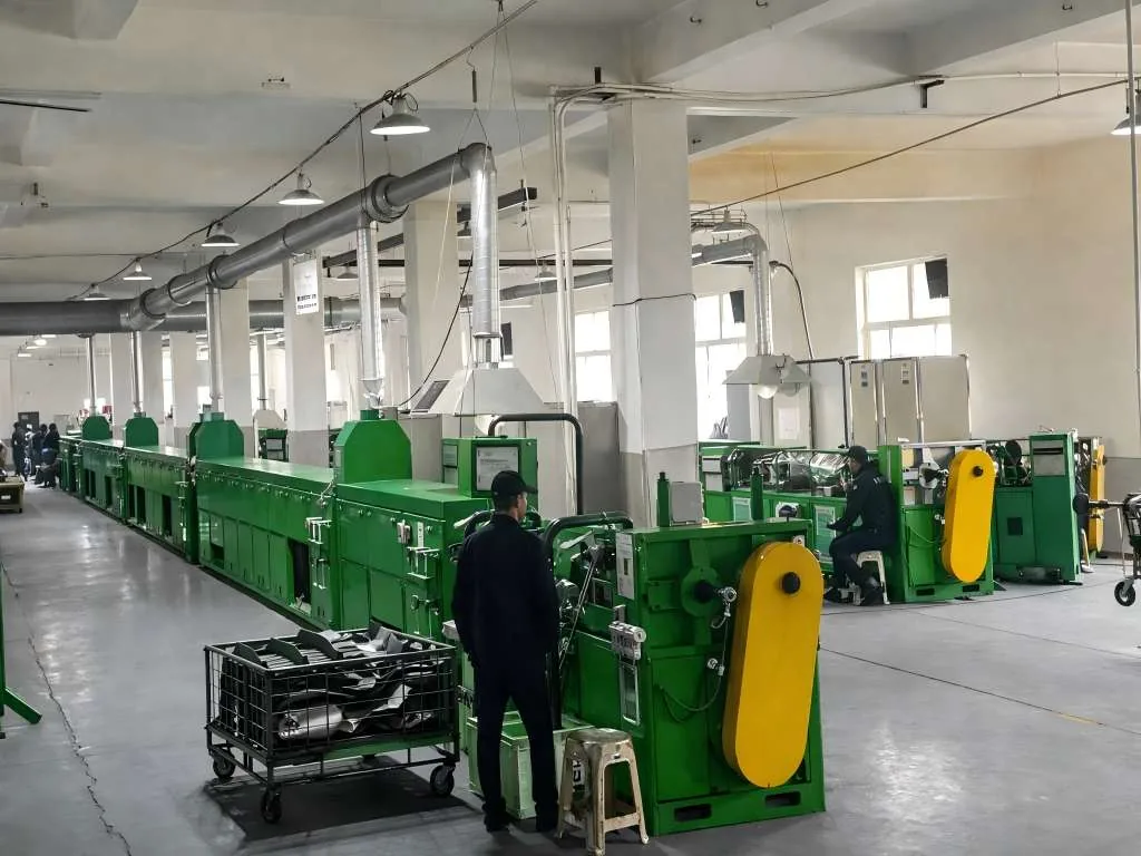 Continuous Vulcanization Process